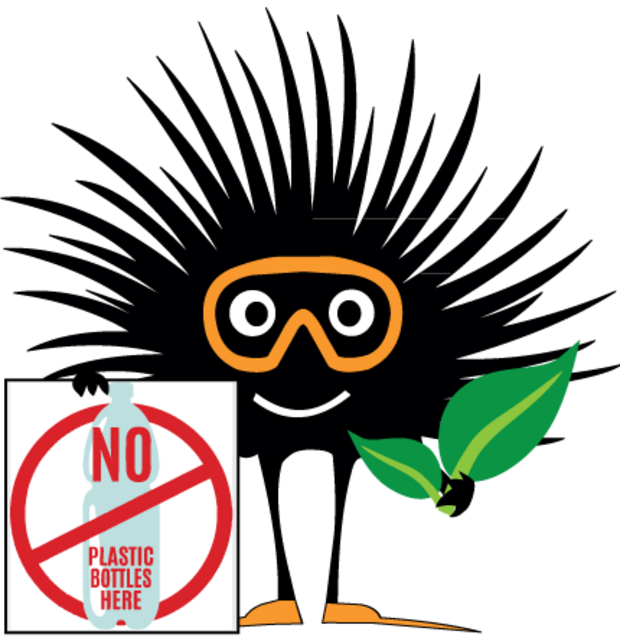 Eco friendly Eco friendly